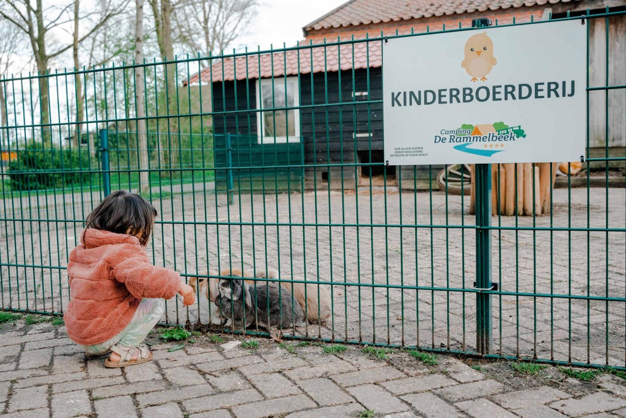 Camping De Rammelbeek Hotell Lattrop Exteriör bild